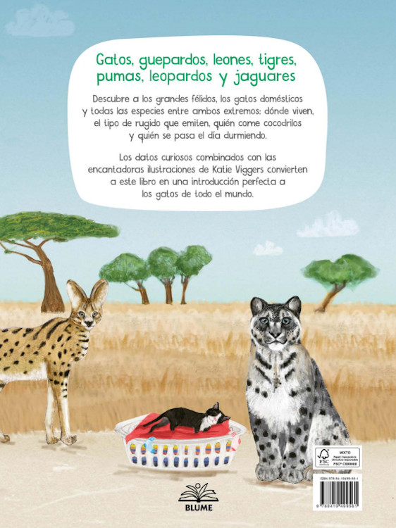 UN LIBRO DE GATOS 4