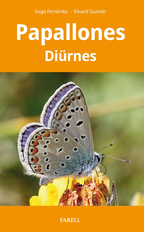 PAPALLONES DIÜRNES 1