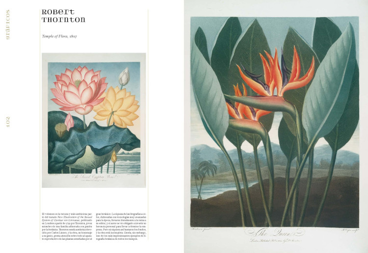 HERBARIA 3
