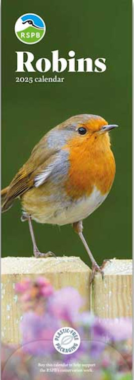 CALENDARIO ALARGADO PETIRROJO RSPB ROBIN CALENDAR 2025 1