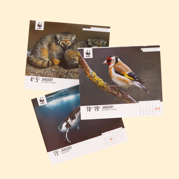 WWF NATURAL WORLD BOX CALENDAR 2025 2