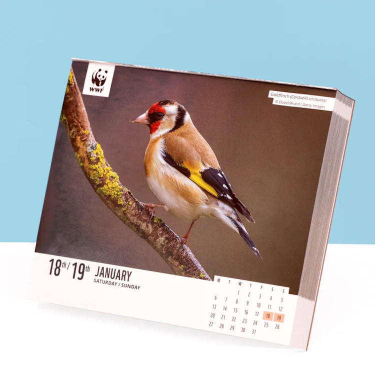 WWF NATURAL WORLD BOX CALENDAR 2025 3