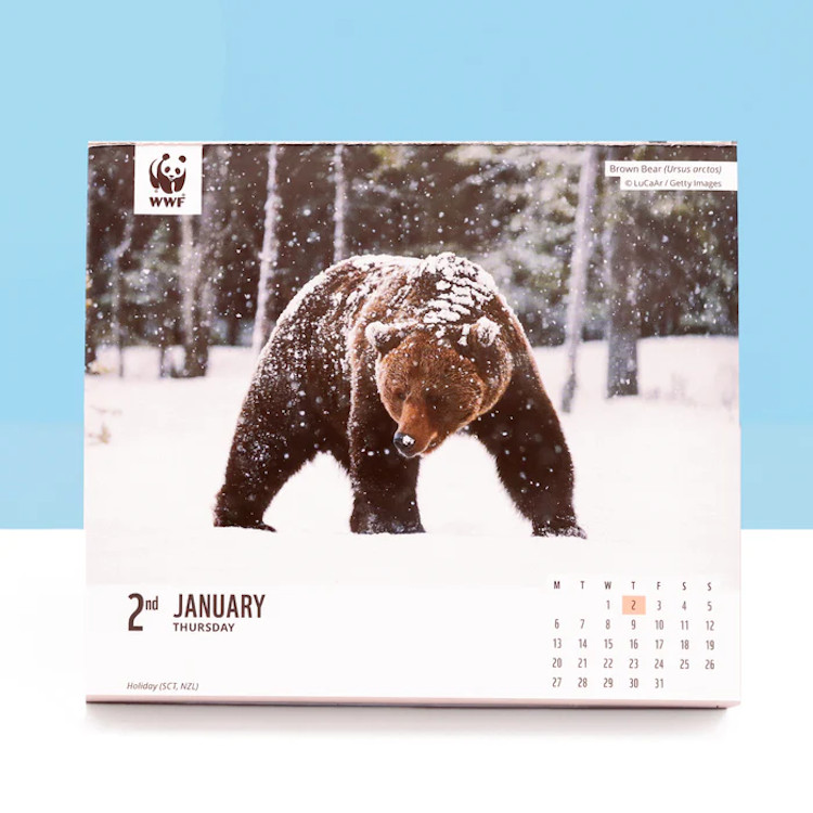 WWF NATURAL WORLD BOX CALENDAR 2025 4