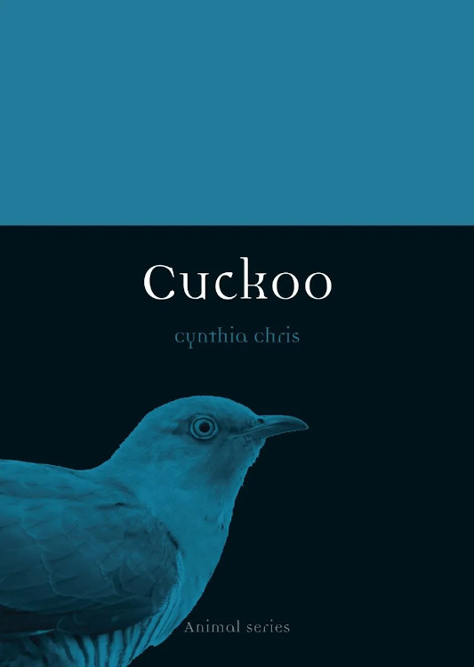 CUCKOO 1