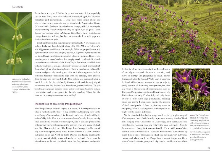 BRITISH WILDLIFE COLLECTION 14: RARE PLANTS 3