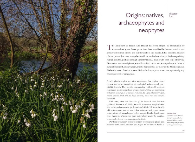 BRITISH WILDLIFE COLLECTION 14: RARE PLANTS 4