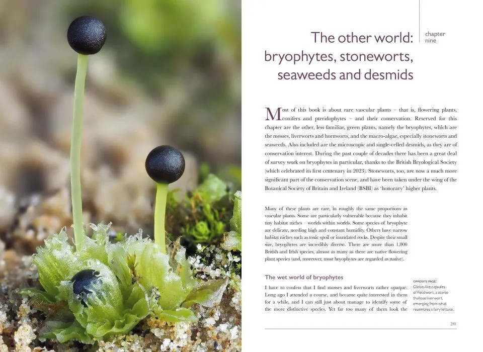 BRITISH WILDLIFE COLLECTION 14: RARE PLANTS 5