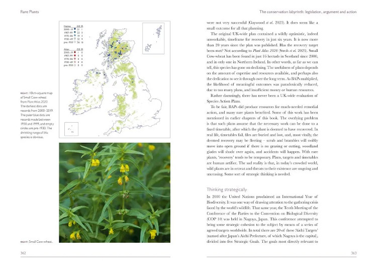 BRITISH WILDLIFE COLLECTION 14: RARE PLANTS 6