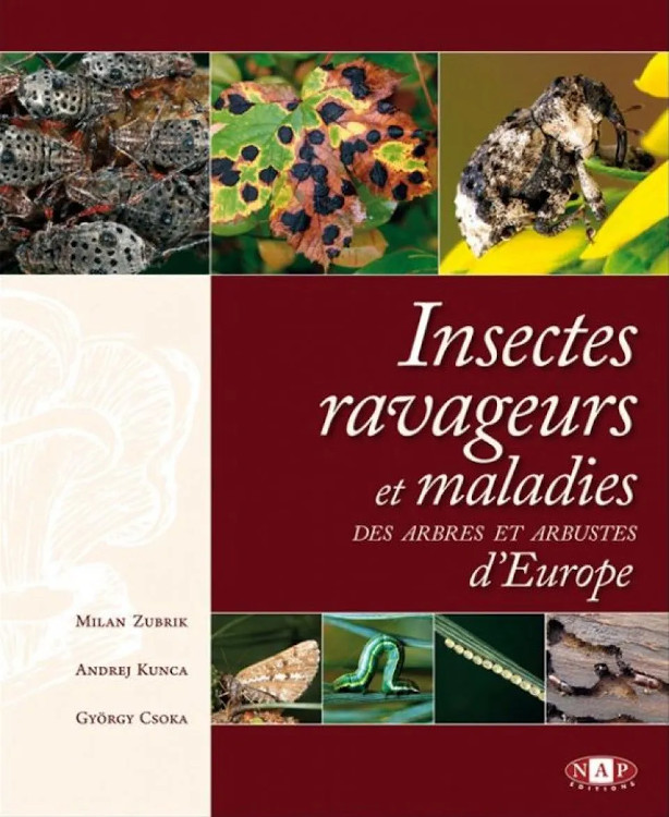 INSECTES RAVAGEURS ET MALADIES DES ARBRES ET ARBUSTES D'EUROPE 1