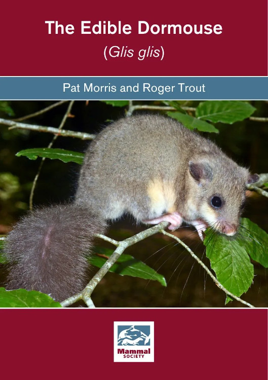 THE EDIBLE DORMOUSE (GLIS GLIS) 1