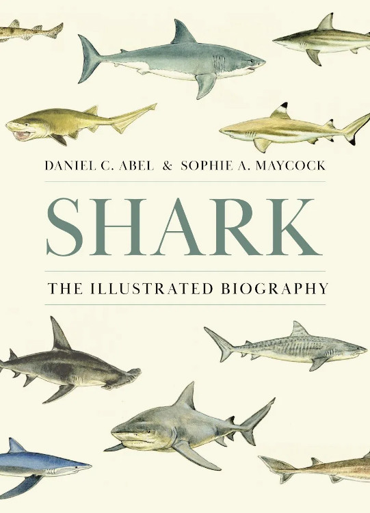 SHARK. THE ILLUSTRATED BIOGRAPHY 1