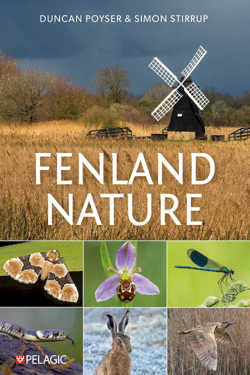 FENLAND NATURE 1