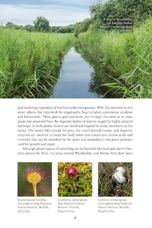 FENLAND NATURE 2