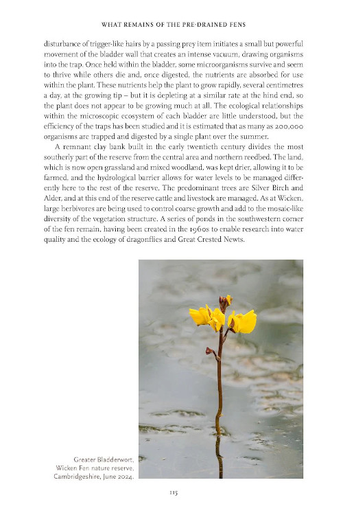 FENLAND NATURE 5
