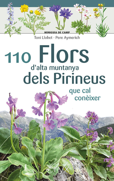 110 FLORS D'ALTA MUNTANYA DELS PIRINEUS QUE CAL CONÈIXER. MINIGUIA DE CAMP 1