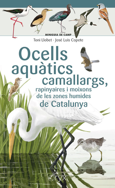 OCELLS AQUÀTICS CAMALLARGS, RAPINYAIRES I MOIXONS DE LES ZONES HUMIDES. MINIGUIA DE CAMP 1