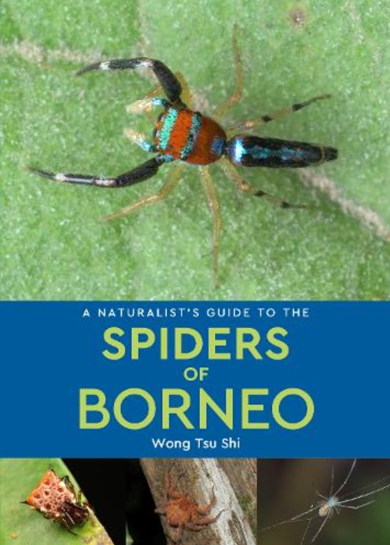 A NATURALIST'S GUIDE TO THE SPIDERS OF BORNEO 1
