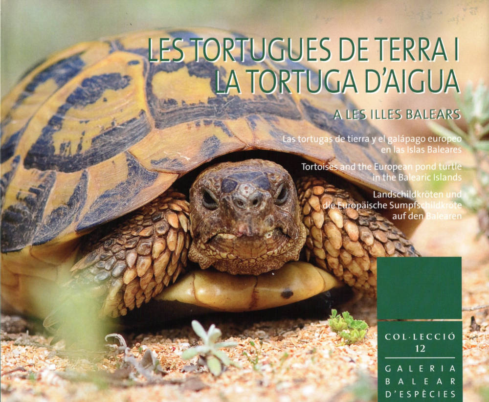 LES TORTUGUES DE TERRA I LA TORTUGA D'AIGUA A LES ILLES BALEARS 1