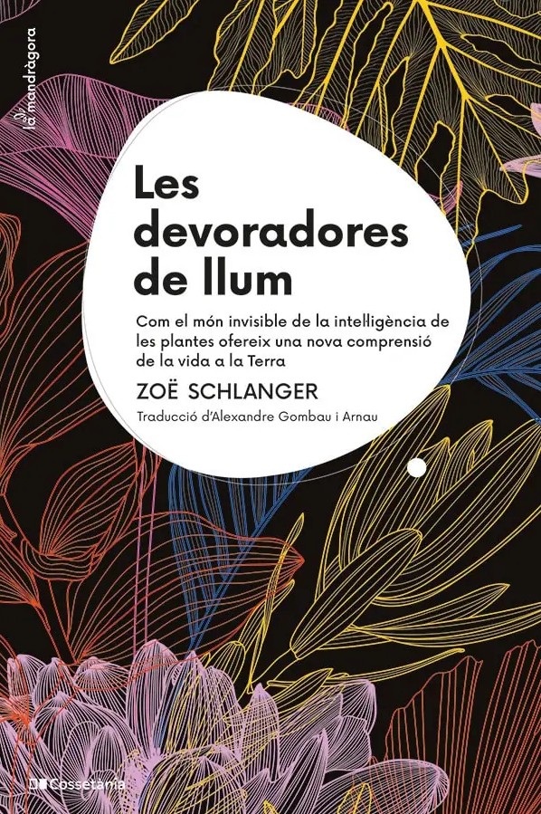 LES DEVORADORES DE LLUM. COM EL MÓN INVISIBLE DE LA INTEL·LIGÈNCIA DE LES PLANTES OFEREIX UNA NOVA COMPRENSIÓ DE LA VIDA A LA TERRA 1