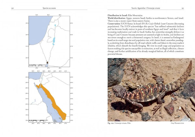 FIELD GUIDE TO THE AMPHIBIANS AND REPTILES OF ISRAEL 4