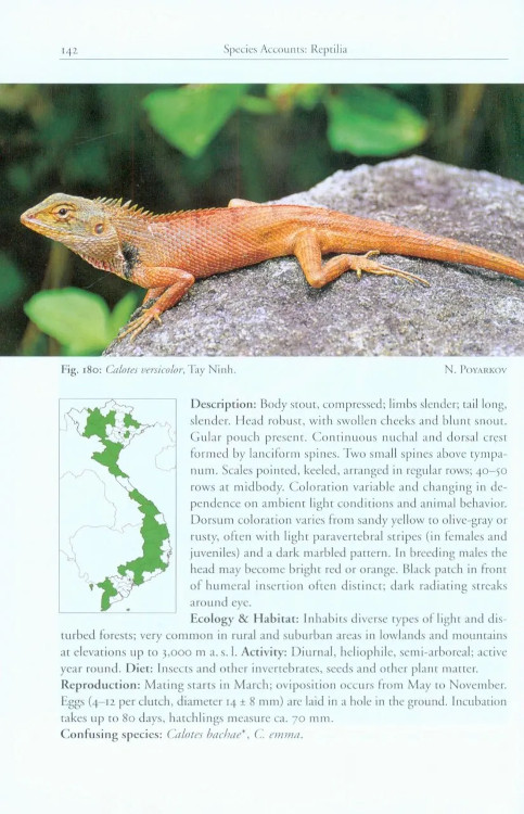 A PHOTOGRAPHIC FIELD GUIDE TO THE AMPHIBIANS AND REPTILES OF THE LOWLAND MONSOON FORESTS OF SOUTHERN VIETNAM 3