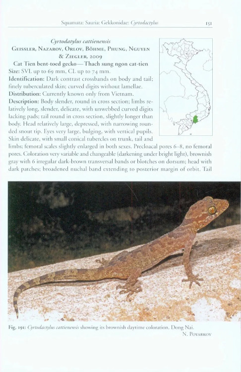 A PHOTOGRAPHIC FIELD GUIDE TO THE AMPHIBIANS AND REPTILES OF THE LOWLAND MONSOON FORESTS OF SOUTHERN VIETNAM 4