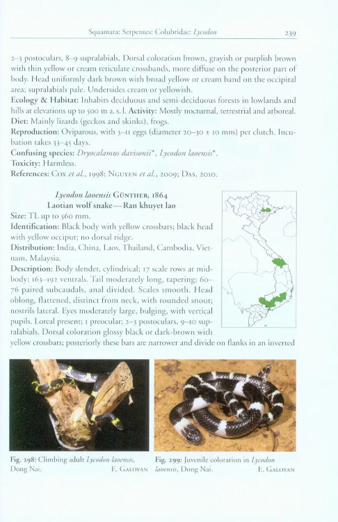 A PHOTOGRAPHIC FIELD GUIDE TO THE AMPHIBIANS AND REPTILES OF THE LOWLAND MONSOON FORESTS OF SOUTHERN VIETNAM 5