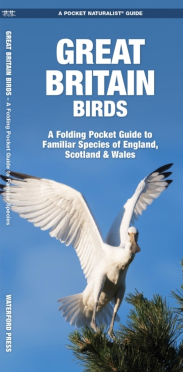 GREAT BRITAIN BIRDS. A FOLDING POCKET GUIDE TO FAMILIAR SPECIES 1