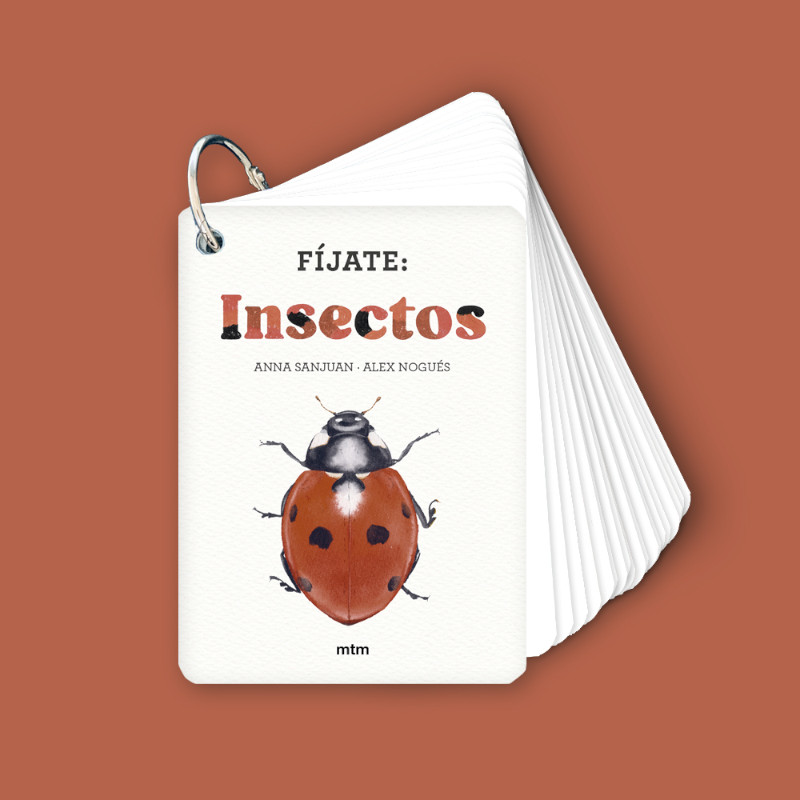 FIJATE: INSECTOS 1