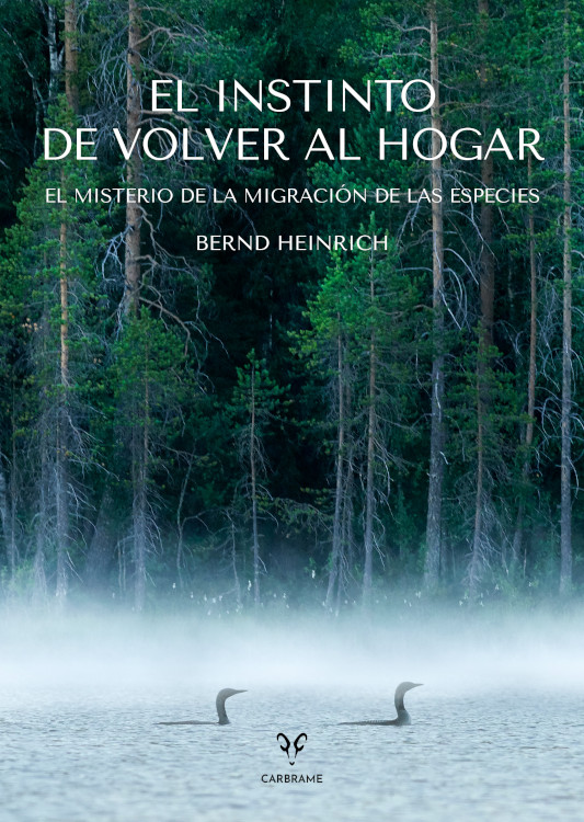 EL INSTINTO DE VOLVER AL HOGAR 1