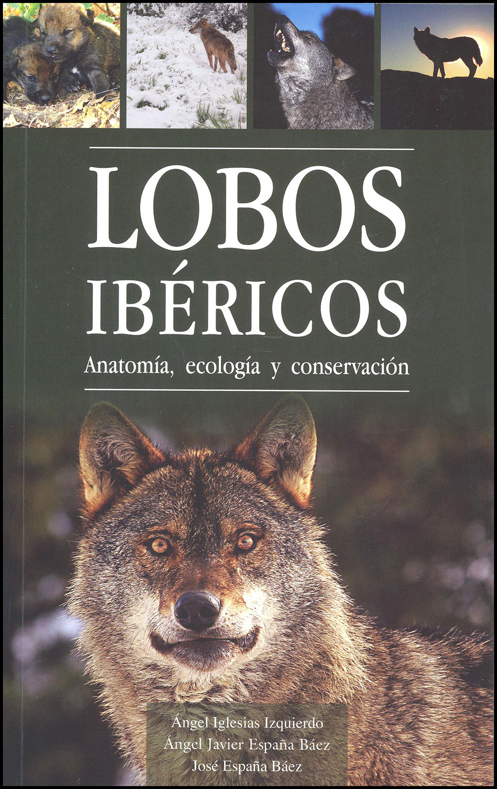 LOBOS IBÉRICOS. ANATOMÍA, ECOLOGÍA Y CONSERVACIÓN.  

VOLUMEN 1 1