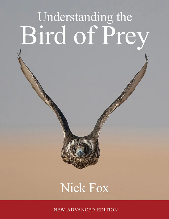 UNDERSTANDING THE BIRD OF PREY. ADVANCED EDITION 1