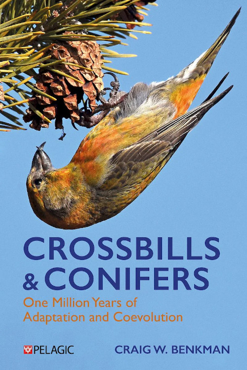 CROSSBILLS &AMP; CONIFERS. ONE MILLION YEARS OF ADAPTATION AND COEVOLUTION 1