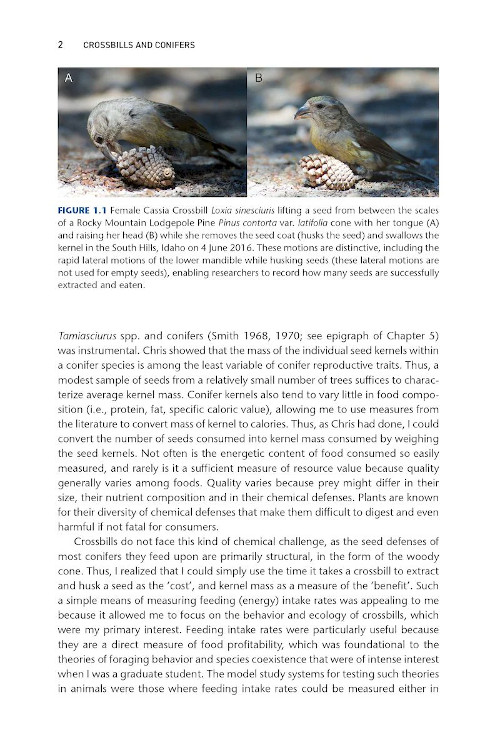 CROSSBILLS &AMP; CONIFERS. ONE MILLION YEARS OF ADAPTATION AND COEVOLUTION 5
