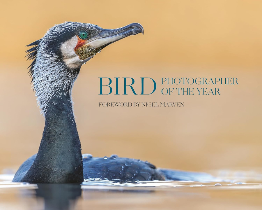 BIRD PHOTOGRAPHER OF THE YEAR, COLLECTION 10 1