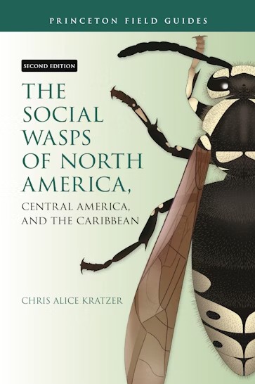 THE SOCIAL WASPS OF NORTH AMERICA, CENTRAL AMERICA AND THE CARIBBEAN 1