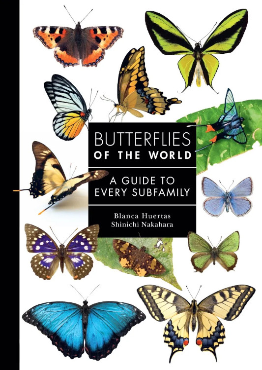 BUTTERFLIES OF THE WORLD. A GUIDE TO EVERY SUBFAMILY 1
