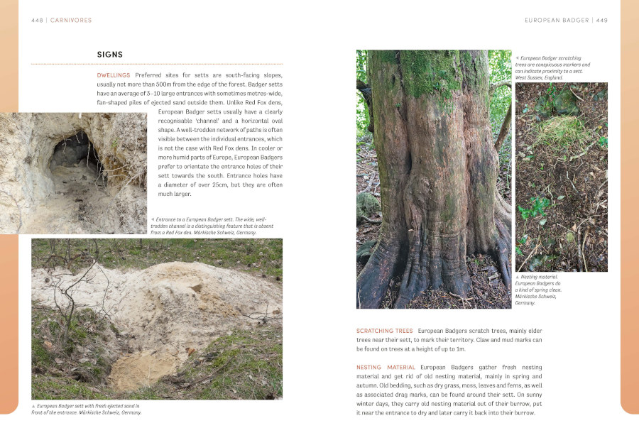 THE EUROPEAN ANIMAL TRACKS HANDBOOK 3