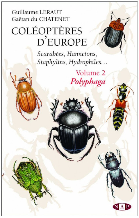 COLÉOPTÈRES D'EUROPE SCARABÉES, HANNETONS, STAPHYLINS. HYDROPHILES VOL. 2 POLYPHAGA 1