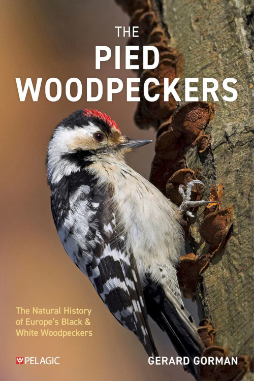 THE PIED WOODPECKERS. THE NATURAL HISTORY OF EUROPE'S BLACK &AMP; WHITE WOODPECKERS 1
