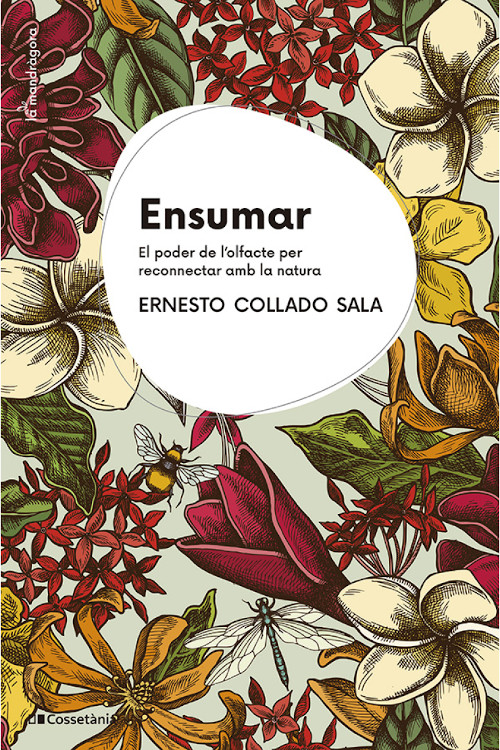 ENSUMAR. EL PODER DE L'OLFACTE PER RECONNECTAR AMB LA NATURA 1