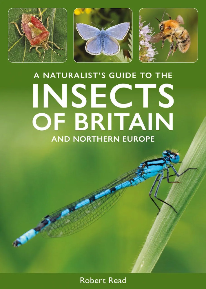 A NATURALIST'S GUIDE TO THE INSECTS OF BRITAIN AND NORTHERN EUROPE 1