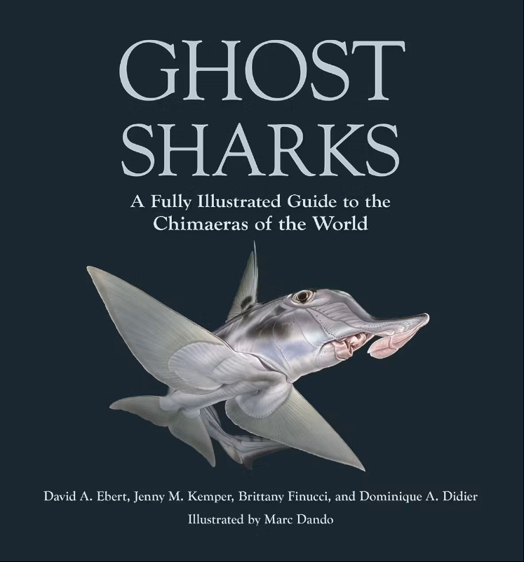 GHOST SHARKS: A FULLY ILUSTRATED GUIDE TO THE CHIMAERAS OF THE WORLD 1
