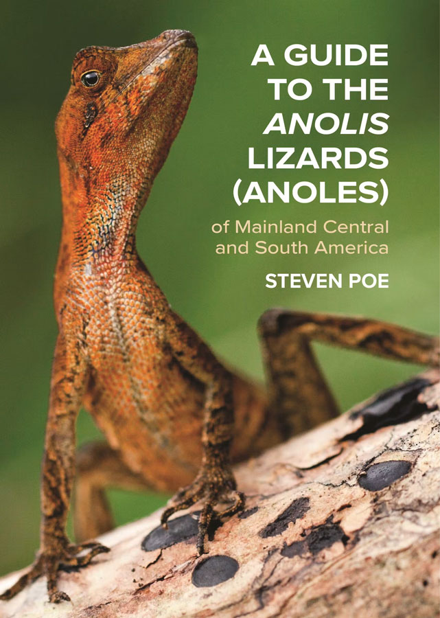 A GUIDE TO THE ANOLIS LIZARDS (ANOLES) OF MAINLAND CENTRAL AND SOUTH AMERICA 1