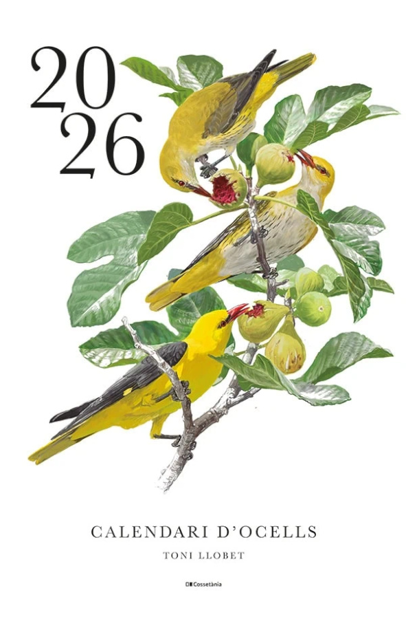 CALENDARI D'OCELLS 2026 TONI LLOBET 1