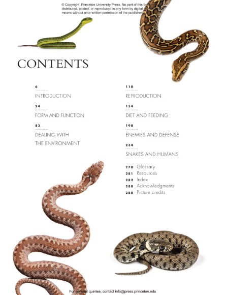 THE LIVES OF SNAKES: A NATURAL HISTORY OF THE WORLD'S SNAKES 2