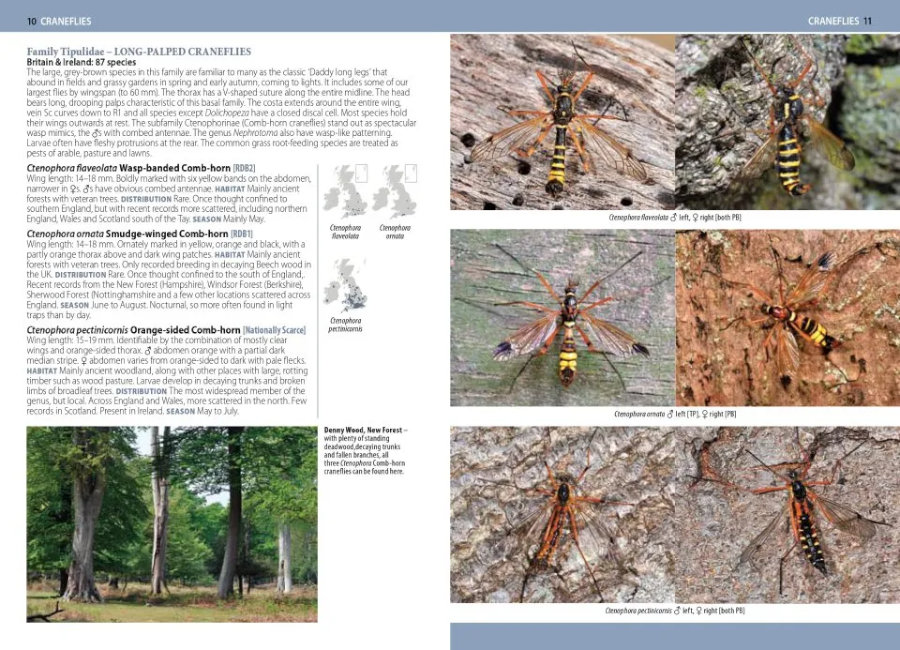 A PHOTOGRAPHIC GUIDE TO FLIES OF BRITAIN &AMP; IRELAND 2
