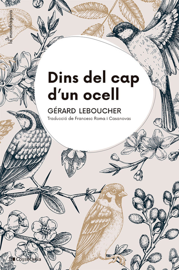 DINS DEL CAP D'UN OCELL 1