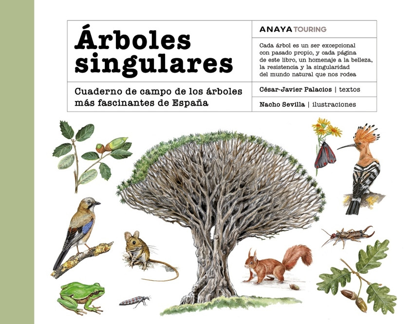 ÁRBOLES SINGULARES. CUADERNO DE CAMPO DE LOS ÁRBOLES MÁS FASCINANTES DE ESPAÑA 1