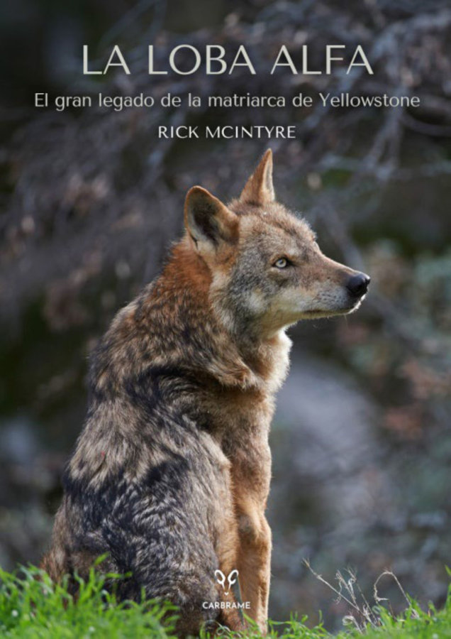 LA LOBA ALFA. EL GRAN LEGADO DE LA MATRIARCA DE YELLOWSTONE 1